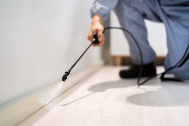 Licensed Termite Control service in Summerfield, MD - Nex Pest Control