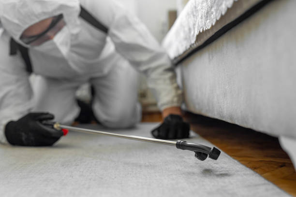 Professional Termite Control technician working in Summerfield, MD