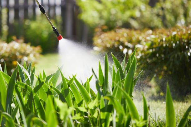 24/7 Emergency Termite Control experts in Summerfield, MD