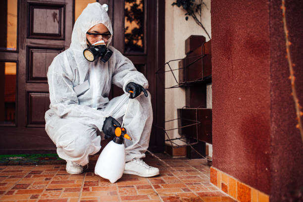 Reliable Termite Control contractor in Summerfield, MD by Nex Pest Control